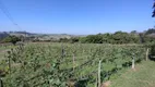 Foto 4 de Fazenda/Sítio com 2 Quartos à venda, 60000m² em Terras de Santa Rosa, Salto