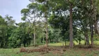 Foto 15 de Fazenda/Sítio à venda, 100m² em Rancho Alegre, Campina Grande do Sul