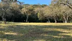 Foto 3 de Lote/Terreno à venda, 20000m² em Aguas Brancas, Urubici