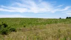 Foto 8 de Imóvel Comercial à venda, 21000m² em São Luiz do Purunã, Balsa Nova