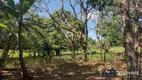 Foto 22 de Fazenda/Sítio com 4 Quartos à venda, 288000m² em Zona Rural, Piracanjuba