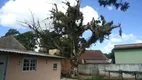 Foto 6 de Casa com 3 Quartos à venda, 300m² em São Tomé, Viamão