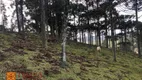 Foto 16 de Lote/Terreno à venda, 120000m² em , Rio Rufino