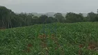 Foto 2 de Fazenda/Sítio com 4 Quartos à venda, 24400m² em , Rio Negro