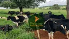 Foto 7 de Fazenda/Sítio à venda, 726000m² em Zona Rural, Itaguari