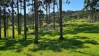 Foto 4 de Lote/Terreno à venda, 60000m² em , Campo Alegre