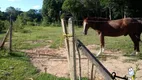 Foto 4 de Lote/Terreno à venda, 5000m² em Borda do Campo, São José dos Pinhais