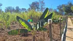 Foto 18 de Fazenda/Sítio com 3 Quartos à venda, 60000m² em Zona Rural, Jaboticatubas