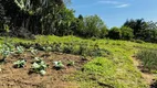 Foto 20 de Fazenda/Sítio à venda, 6300m² em Zona Rural, Tijucas do Sul