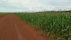 Foto 6 de Fazenda/Sítio com 7 Quartos à venda, 228m² em , Brejinho de Nazaré