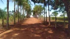 Foto 116 de Fazenda/Sítio com 5 Quartos à venda, 145000m² em Área Rural, Aragoiânia