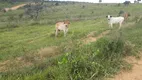 Foto 19 de Fazenda/Sítio à venda, 20000m² em Zona Rural, Cordisburgo