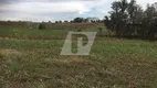 Foto 3 de Lote/Terreno à venda, 90000m² em Residencial Paineiras, Piracicaba