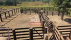 Foto 40 de Fazenda/Sítio à venda, 5120000m² em Centro, Alto Araguaia