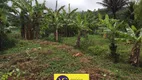 Foto 29 de Fazenda/Sítio com 4 Quartos à venda, 110000m² em Rural, Mulungu