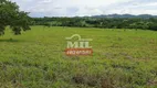 Foto 25 de Fazenda/Sítio à venda, 387200m² em Centro, Uruaçu