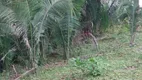 Foto 2 de Fazenda/Sítio com 2 Quartos à venda, 85m² em Zona Rural, Nova Xavantina