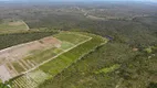 Foto 10 de Fazenda/Sítio com 2 Quartos à venda, 8000000m² em Morro Branco, Beberibe