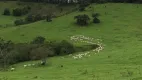 Foto 17 de Fazenda/Sítio com 4 Quartos à venda, 4400000m² em Zona Rural, Cruzília