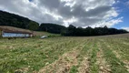 Foto 8 de Fazenda/Sítio à venda, 24200m² em Campo Novo, Campo Magro