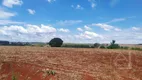 Foto 4 de Fazenda/Sítio à venda, 242000m² em Jardim Primavera, Londrina