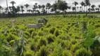 Foto 14 de Fazenda/Sítio à venda em , Penalva