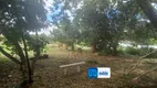 Foto 11 de Fazenda/Sítio com 3 Quartos à venda, 15000m² em Setor de Chacaras Corrego da Onca, Brasília