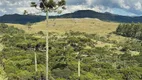 Foto 19 de Fazenda/Sítio à venda em Zona Rural, Urubici