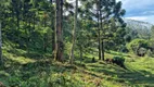 Foto 2 de Fazenda/Sítio com 1 Quarto à venda, 30m² em São Francisco Xavier, São José dos Campos