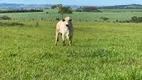 Foto 4 de Fazenda/Sítio com 4 Quartos à venda, 120m² em Zona Rural, Tambaú