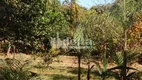 Foto 9 de Fazenda/Sítio com 3 Quartos à venda, 250m² em Morada Nova, Uberlândia