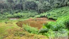 Foto 19 de Fazenda/Sítio com 5 Quartos à venda, 100000m² em Sacra Família do Tinguá, Engenheiro Paulo de Frontin