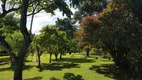 Foto 18 de Fazenda/Sítio com 2 Quartos à venda, 200m² em Saltinho, Elias Fausto