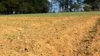 Foto 9 de Lote/Terreno à venda, 500m² em Lapa, São Paulo