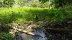 Foto 8 de Fazenda/Sítio com 3 Quartos à venda, 215000m² em Chapeu, Domingos Martins