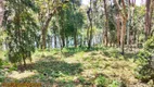 Foto 8 de Lote/Terreno à venda, 4600m² em Zona Rural, Joanópolis