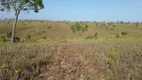 Foto 9 de Fazenda/Sítio com 1 Quarto à venda, 5000000m² em Lagoa Azul, Macapá