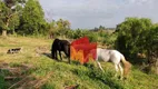 Foto 11 de Fazenda/Sítio com 2 Quartos à venda, 120000m² em Zona Rural, São José do Rio Pardo