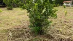 Foto 22 de Fazenda/Sítio com 6 Quartos à venda, 21m² em , Várzea Grande