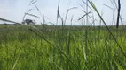 Foto 2 de Fazenda/Sítio à venda em Zona Rural, Pontes E Lacerda