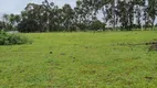 Foto 16 de Fazenda/Sítio com 3 Quartos à venda, 30000m² em Monte Alegre, Monte Alegre