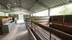 Foto 44 de Fazenda/Sítio com 3 Quartos à venda, 22781m² em Sans Souci, Nova Friburgo