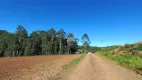 Foto 5 de Fazenda/Sítio à venda, 30000m² em Zona Rural, Pato Branco