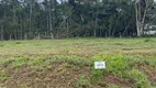 Foto 5 de Lote/Terreno à venda, 340m² em Itaipava, Itajaí