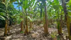 Foto 16 de Fazenda/Sítio com 4 Quartos à venda, 37000m² em Comunidade Urbana de Amarelos, Guarapari