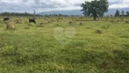 Foto 31 de Lote/Terreno à venda, 800000m² em Moreira César, Pindamonhangaba