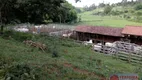 Foto 16 de Fazenda/Sítio à venda, 532400m² em , Cambuí