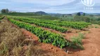 Foto 25 de Fazenda/Sítio à venda, 3000000m² em Centro, Divisa Nova