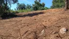 Foto 4 de Lote/Terreno à venda, 4000m² em Zona Rural, Moeda