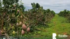 Foto 8 de Fazenda/Sítio à venda, 16m² em Centro, Porto Alegre do Tocantins